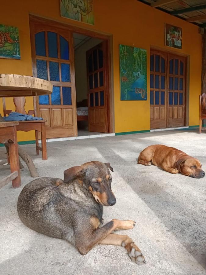 El Peregrino Hotel Moyogalpa Eksteriør billede
